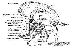 https://bookmate.com/a/4/d/BRU6m0Yj/contents/OEBPS/BbAz7Uvq.jpg