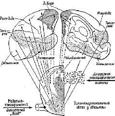 https://bookmate.com/a/4/d/BRU6m0Yj/contents/OEBPS/u8BefrKn.jpg