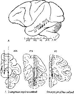 https://bookmate.com/a/4/d/BRU6m0Yj/contents/OEBPS/DlASvnsO.jpg