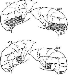 https://bookmate.com/a/4/d/BRU6m0Yj/contents/OEBPS/qKFrbXU3.jpg