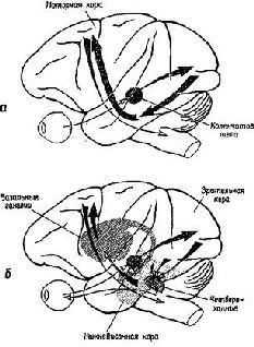 https://bookmate.com/a/4/d/BRU6m0Yj/contents/OEBPS/ruuWCGMK.jpg