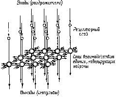 https://bookmate.com/a/4/d/BRU6m0Yj/contents/OEBPS/GoT7h5cx.jpg