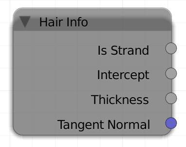 HairInfo.jpg